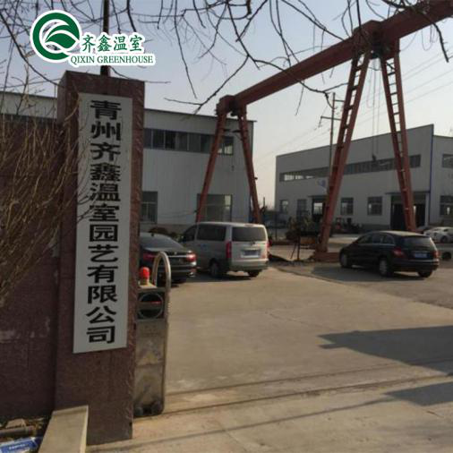 PO Single Layer Greenhouse for Agriculture Boost Agricultural Production