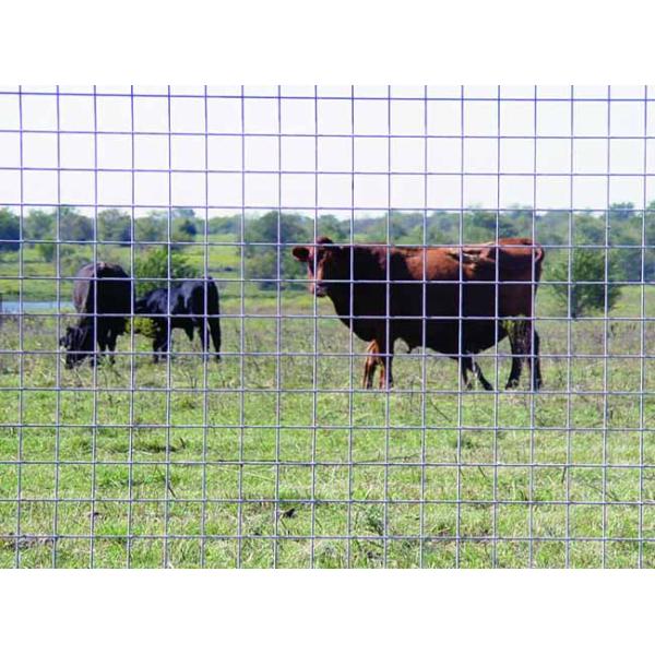Welded Wire Cattle Fence Solid Structure Durable Life