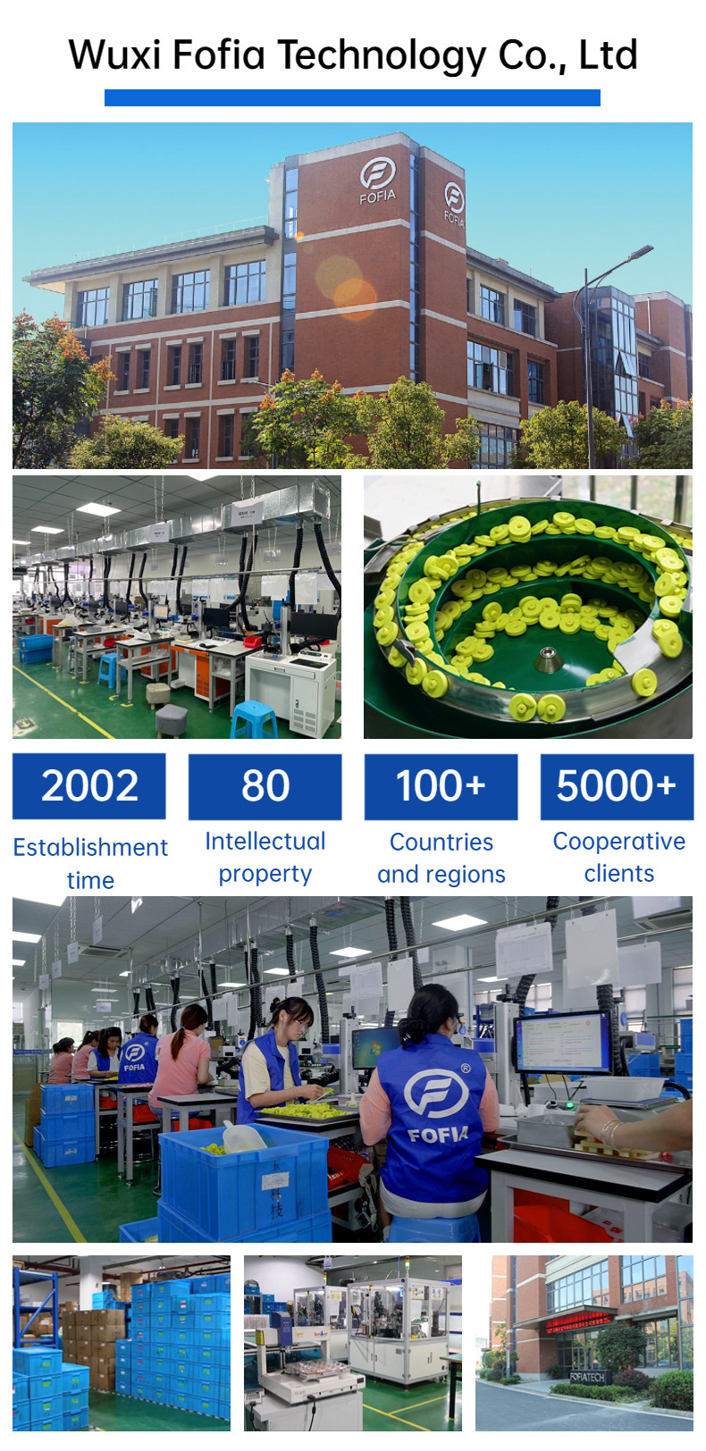 2.12*12mm ISO Transponder Microchip ISO11784 / 5 FDX - B International Standard Injectable Transponders