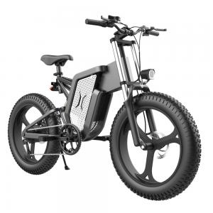 Alloy Aluminum 1000w Motor Ebike 48v10ah Battery Big Wheel Electric Bike 20inch