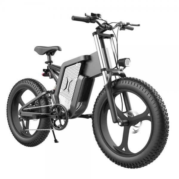 Quality Alloy Aluminum 1000w Motor Ebike 48v10ah Battery Big Wheel Electric Bike 20inch for sale