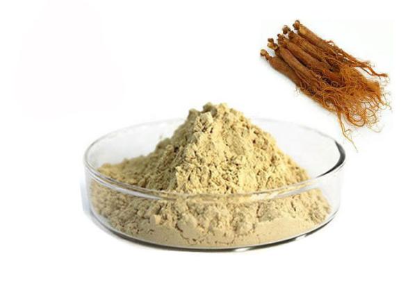Quality 10% Ginsenosides Red Ginseng Extract for sale