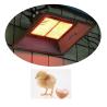 Buy cheap Natural Gas LPG Poultry Chicken Brooder Heaters Aluminum Poultry House Brooders from wholesalers
