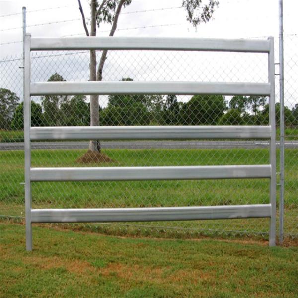 Heavy Duty Galvanized Farm Fence/Cattle Panels/Gate Panels 1.0m x 1.95m height tubing SHS50mm