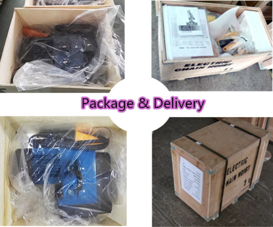 5 Ton Low Headroom Hoist Fixed Motorized Chain Hoist