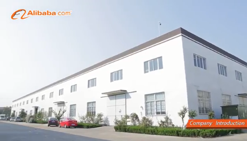 Highly Reflective Metalized CPP Film OPP/CPP Roll Film with SGS Certificate and OEM