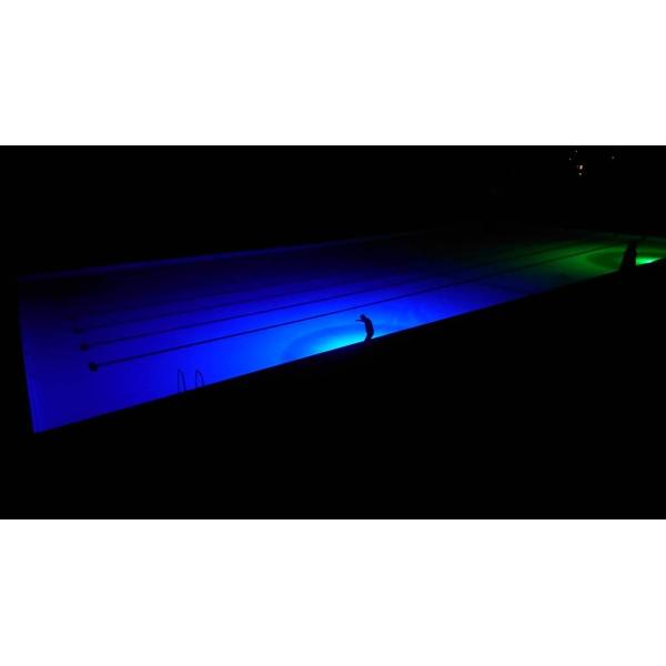 12V Submersible Fishing Lights