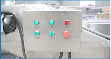 Automatic Carrot Chilli 1200kg/H Vegetable Bubble Washing Machine