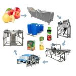 Industrial NFC Apple Juice Production Line HPP Juice Processing Machine