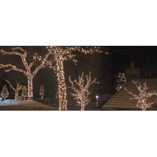 IP65 LED Christmas string light/outdoor garland/LED string light