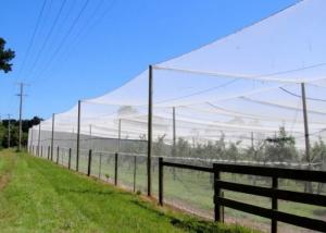 China Agricultural Insect Mesh Protection Netting , Insect Fly Screen Mesh wholesale