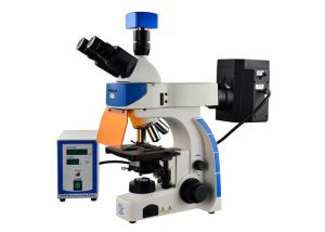 Professional Trinocular Upright Fluorescence Microscope 100W Mercury Lamp
