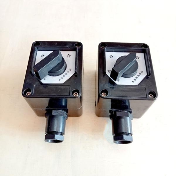 Quality 220v 10A Explosion Proof Switch Anti Explosive Emergency Stop Rotary Class 1 Div 2 Switch for sale