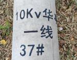 Pipe Large Character Inkjet Printer 80mm Date Printing Machine