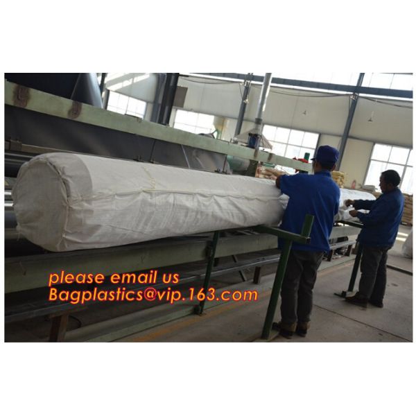Eco-Friendly Hdpe Geomembrane Liner Geomembrane Price,Eco-Friendly Hdpe Geomembrane Liner Waterproofing Membranes BAGEAS