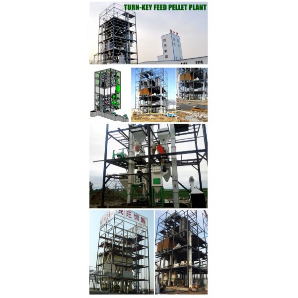 Ring Die Animal Feed Processing Machinery and Equipment With Siemens Motor