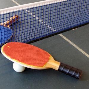 China Table Tennis Nets Ping Pong Table Net Green Blue Nylon Customized Color on sale