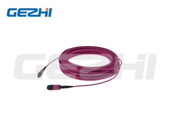 Quality 12Core Data Center Om4 Red Rose Round Mtp Mpo Optical Cable Patch Cord for sale