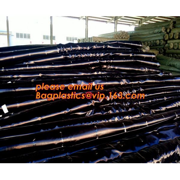 Eco-Friendly Hdpe Geomembrane Liner Geomembrane Price,Eco-Friendly Hdpe Geomembrane Liner Waterproofing Membranes BAGEAS