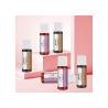 Buy cheap CE REACH MSDS Permanent Makeup Pigments Liquid Eyebrow Tattoo Ink 6ml / Bottle from wholesalers