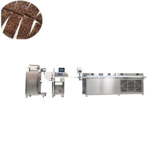 China P307 Automatic date paste fruit bar making machine wholesale