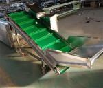 Garlic Sorting Machine, Garlic Grading Machine, Garlic Sorter, Garlic Classifier