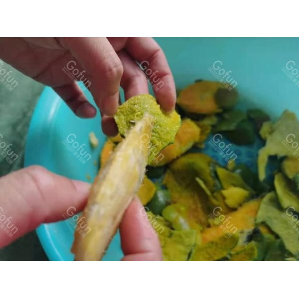 10T/D 304 Stainless Steel Mango Processing Line Aseptic Bag Package