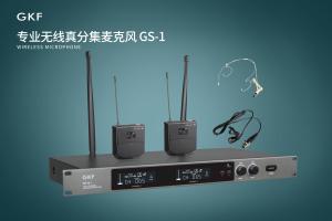 Dual Wireless Handheld Microphone System Echo For Karaoke DJ PA Presentation Live Performance