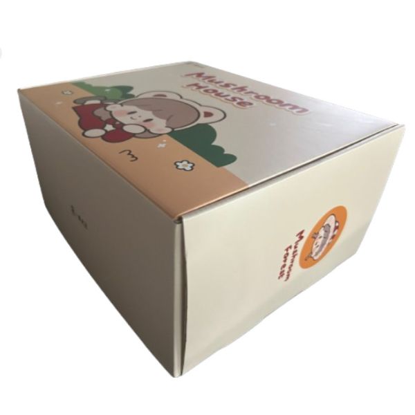 Extra Large Size Folding Carton Boxes Customized Logo Large Capacity Multi Color Box