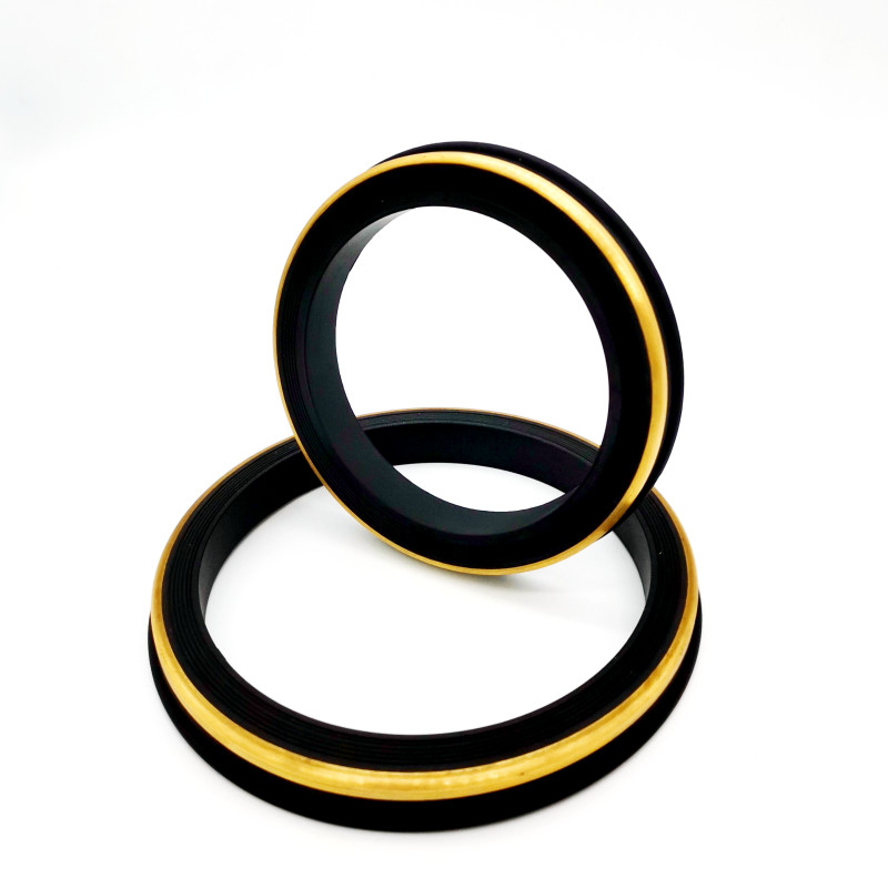 Ar Membrane Kit Widely Used In Diaphragm Pumps And Hydraulic Accumulators