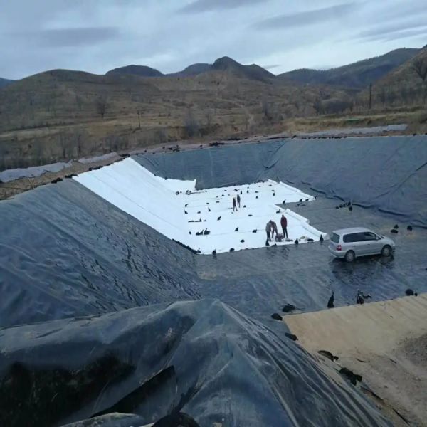 Double Texture HDPE Geomembrane Fish Farm Pond Liner with Project Solution Capability