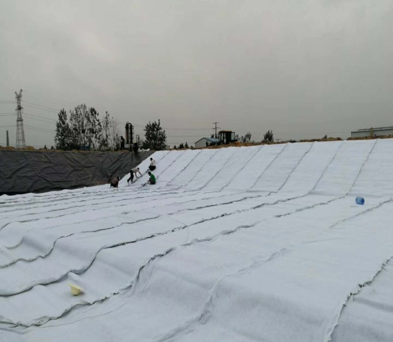 3D Composite Drainage Geonet The Ultimate Drainage Solution for Landfill Inner Walls