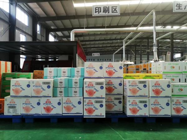 Quality PLC Control 10MM Corrugated Carton Box Making Machine With Extruder for sale