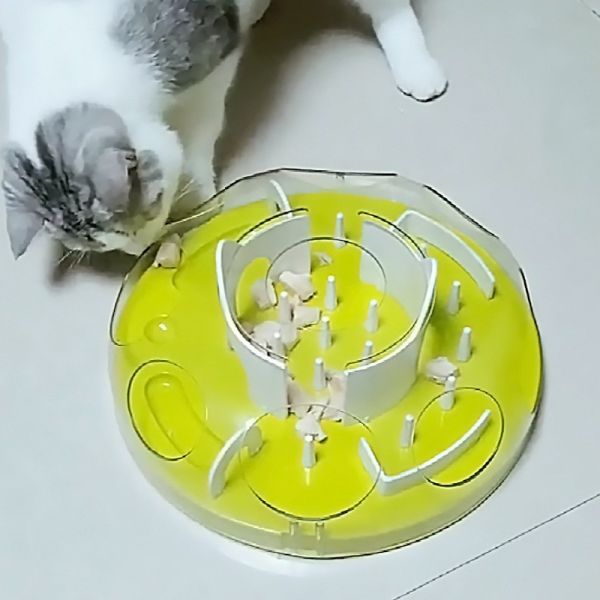 DIY Cat Predation Play Maze Toy Training Missing Cat Supplies