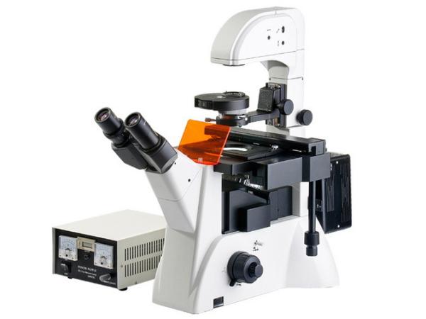 Wide Field Eyepiece Inverted Fluorescent Microscope 40X With UIS Optical System