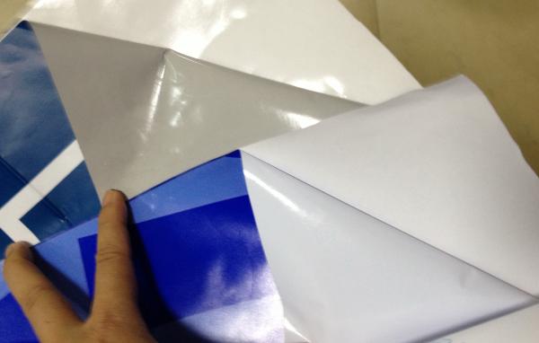 Quality custom white /clear static sticker for sale