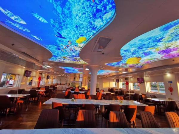 Quality Advertising Light Boxes Pvc Ceiling Film 250mic High Transmittance for sale