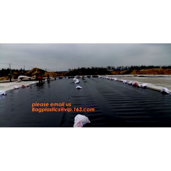 Eco-Friendly Hdpe Geomembrane Liner Geomembrane Price,Eco-Friendly Hdpe Geomembrane Liner Waterproofing Membranes BAGEAS