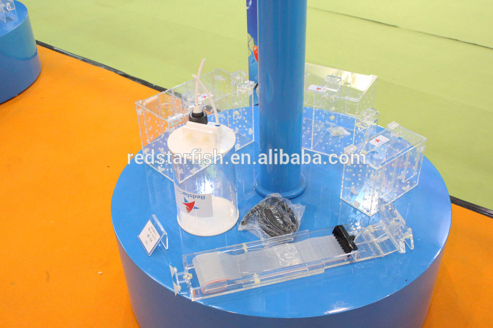 CIPS--Aquarium accessoris.jpg