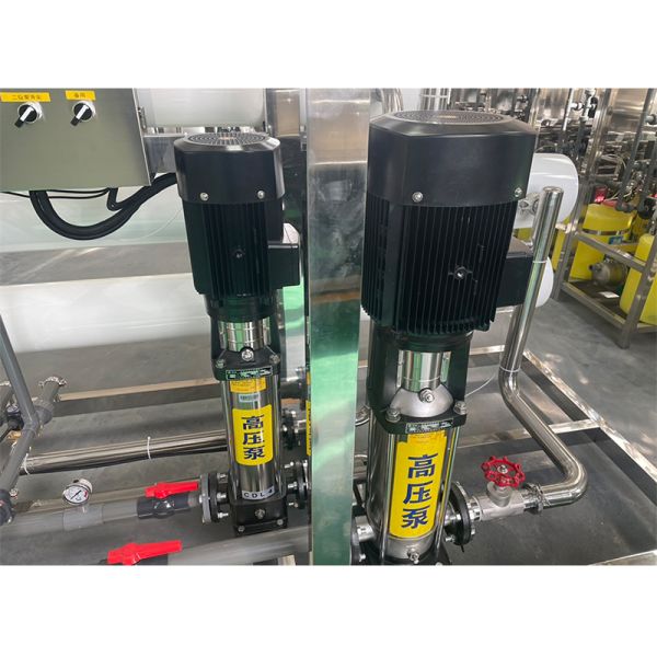 10L/H Ro Systems Reverse Osmosis Pure Water Filtration Plant Material Stainless Steel