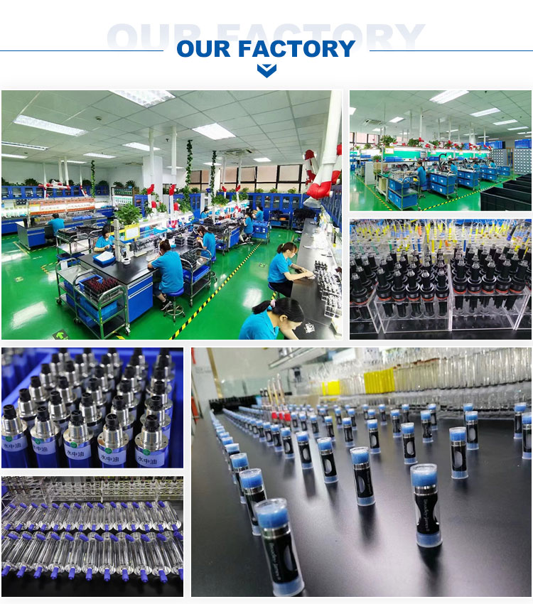 High Precision PH Sensor Handheld Portable Dissolved Oxygen Meter for Aquaculture