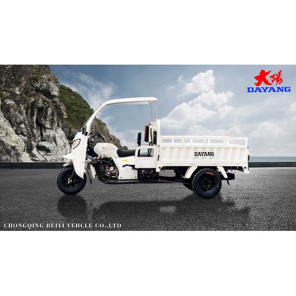 Standard Size 3 Wheel Gasoline 200cc/250cc/300cc Motorcycle Engine Cabin Cargo Tricycle