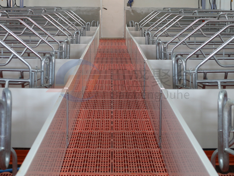 Heavy-Duty Prefab Pigsty Farm Houses with Large Stock and Piggery Equipment Design