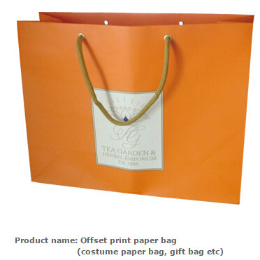 Low cost custom made design logo print handle paper carrier bag luxury paper gift bag,Luxury Paper Package Packaging Gif