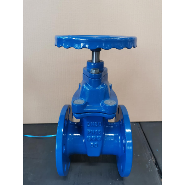 Water Media DN600 PPR Fitting Gate Valve with OEM Flexibility Offered