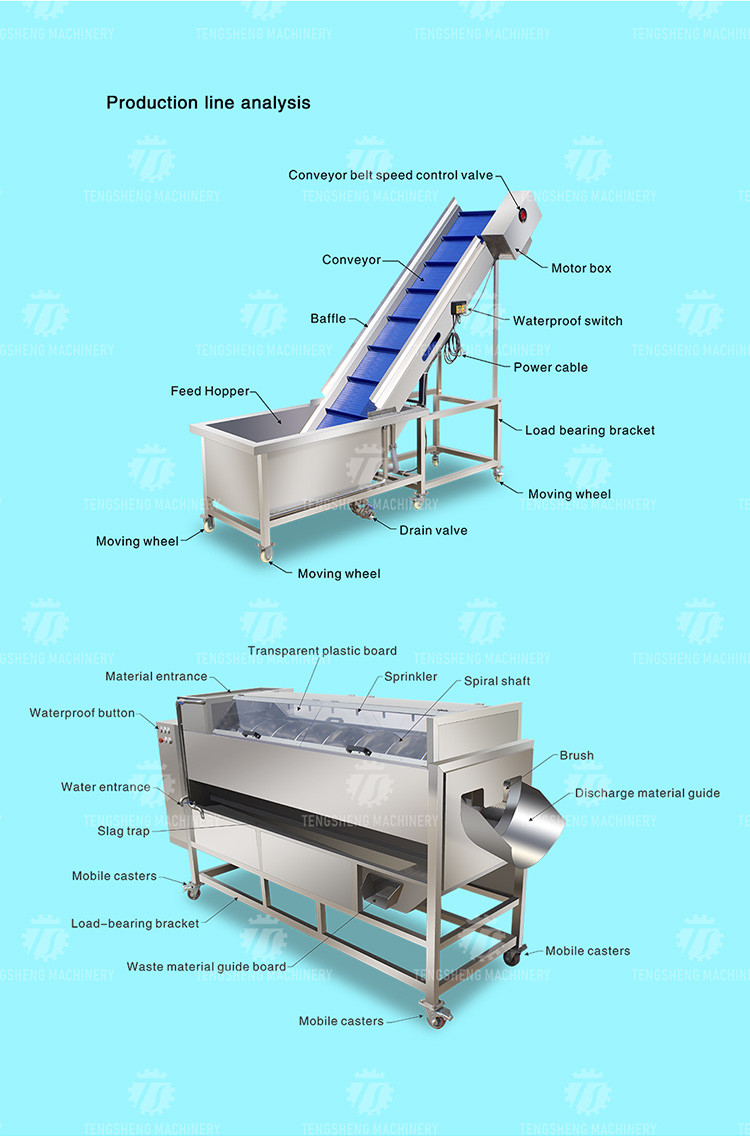 SS Fruit Vegetable Washing Machine Pre - Foaming Lifting Hair Roller Cleaning Production Line