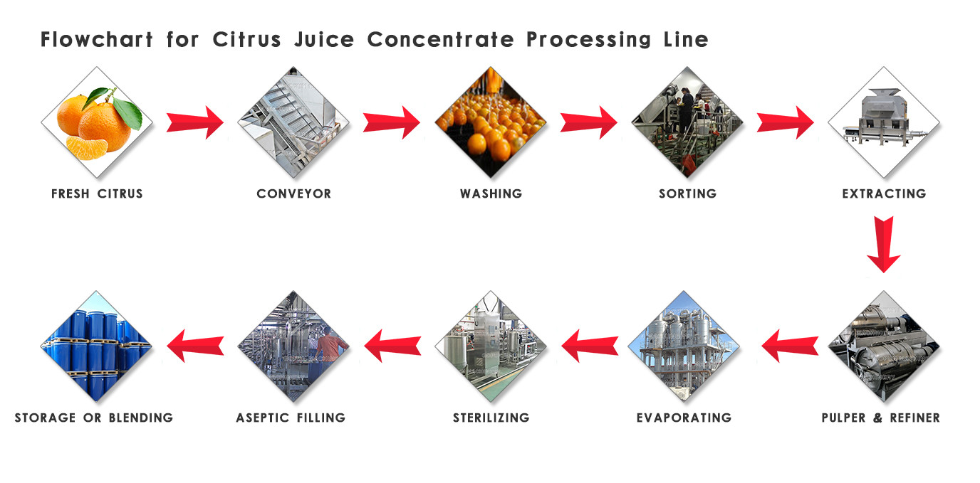 Industrial Citrus Processing Line Orange Lemon Processing Unit 1 Year Warranty