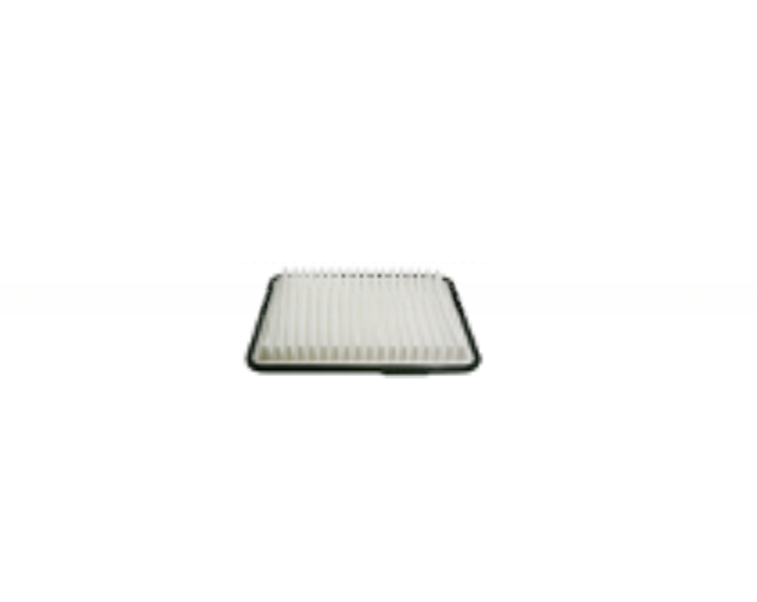 3027900 Air Filter for Buick/GM 96827723 96628890 92066873 21999324 OEM Guaranteed