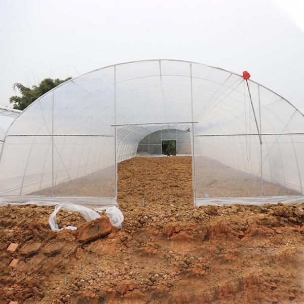 Quality Anti Aging Film Micron Anti Uv Plastic Greenhouse Agriculture Vegetables Planting for sale