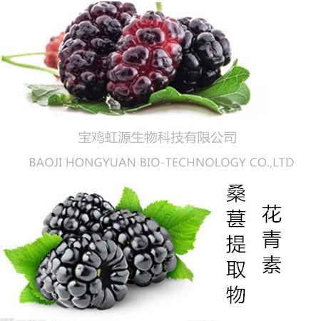 Quality 100% pure natural Mulberry Fruit Extract/ Mulberry Extract powder for sale